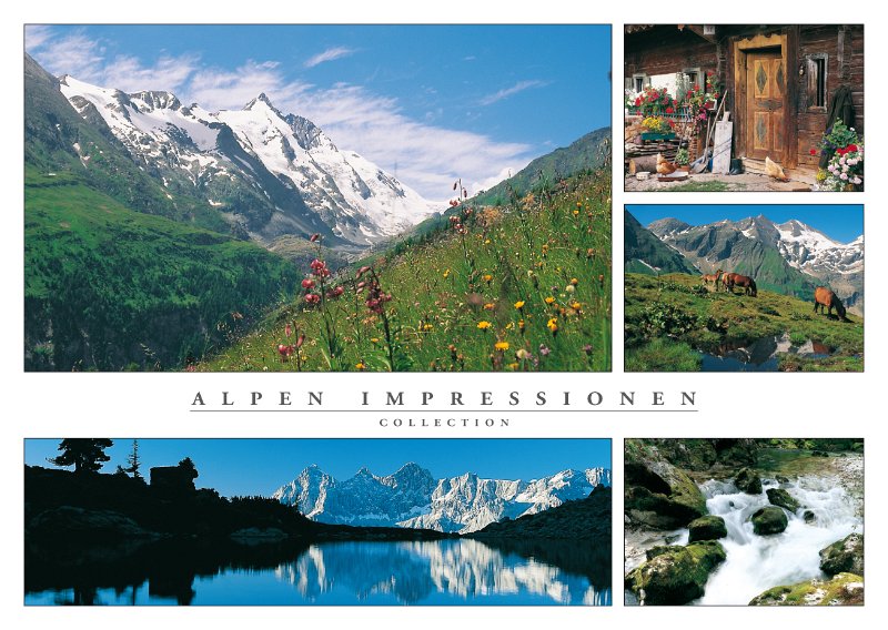 ALP 10.jpg