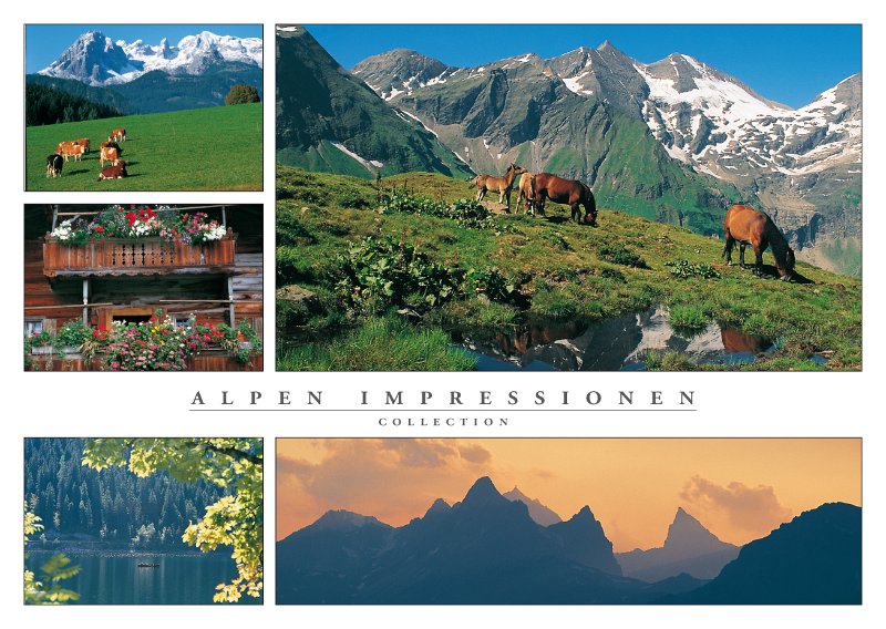 ALP 11.jpg