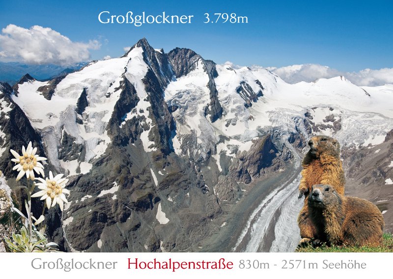 GR 19.jpg