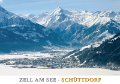 Z 41M