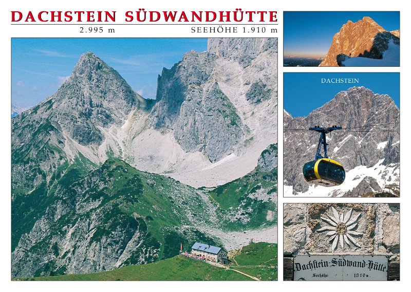 DSW 01.jpg