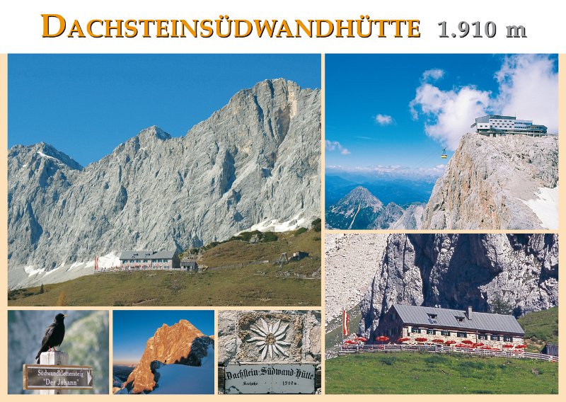 DSW 02.jpg